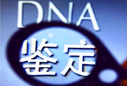 合肥司法DNA鉴定要如何办理，司法亲子鉴定采集什么样本