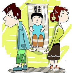 合肥匿名亲子鉴定办理流程，合肥隐私亲子鉴定费用是多少钱