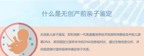 合肥胎儿如何做DNA鉴定,合肥无创孕期亲子鉴定收费标准 合肥胎儿如何做DNA鉴定,合肥无创孕期亲子鉴定收费标准
