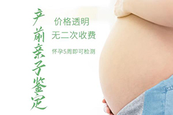 合肥怀孕了如何做产前亲子鉴定，合肥做无创孕期亲子鉴定大概多少费用