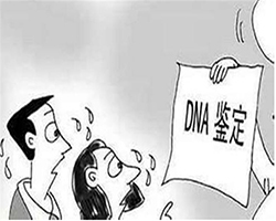 合肥DNA亲子鉴定医院电话和地址，合肥医院亲子鉴定收费