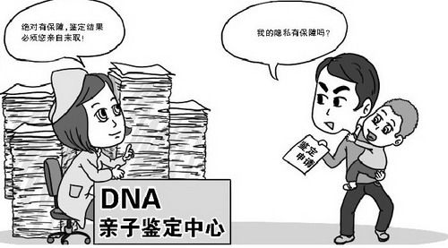 合肥落户亲子鉴定收费明细,合肥迁户亲子鉴定采集什么样本